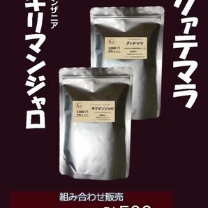 G13 キリマンジャロ+グァテマラ 250g+250g かねふと珈琲