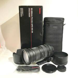 【動作確認済！】SIGMA シグマ DG 50-500mm 1:4.5-6.3 APO【2414772-1//303rgmry】