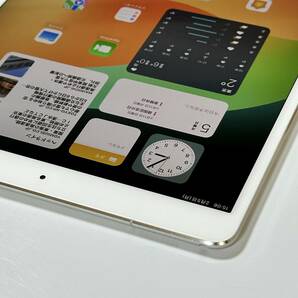 Apple SIMフリー iPad Pro (10.5インチ) シルバー 64GB MQF02J/A Wi-Fi+Cellular iOS17.2 (A1709) アクティベーションロック解除済の画像5
