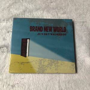 ジュンスカ junskywakers CD BRAND NEW WORLD ジュンスカイウォーカーズ