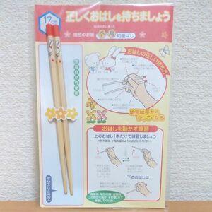 六角知能ばし　 お箸　17cm 小学1年生2年生