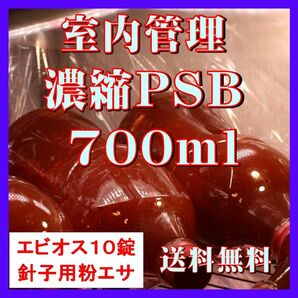 室内管理濃縮培養PSB700ml＋エビオス10錠＋針子用粉エサ＋培養説明書　光合成細菌、水質調整、バクテリア、めだか、針子などに