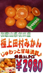 【京の果実屋】田村みかん★2L-5kg 紀州有田/超人気！じゅわじゅわじゅわ～っとあま～い