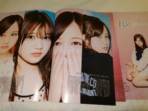 雑誌の切り抜き　星野みなみ　ピンナップガール　9P