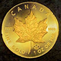カナダ 金貨 古銭 エリザベス2世 もみじ　大型 2021年　コレクション　_画像2