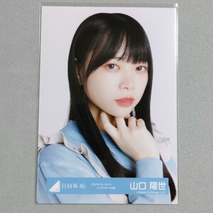 日向坂46 山口陽世 2022年 バレンタインコーディネート衣装 生写真