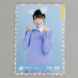 日向坂46 丹生明里 猫耳衣装 生写真