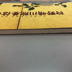 ★ 【図録 狩野晴川院養信の全貌 江戸文化シリーズ第13回展 1995年】112-02402の画像3