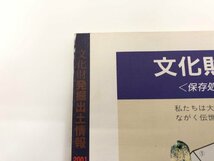 ★　【発掘された日本列島2001 新発見考古速報展 文化財発掘出土情報 ジャパン通信情報センター】179-02402_画像4