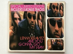 ★　【CD Lenny Kravitz Are You Gonna Go My Way VIRGIN 1993】176-02402