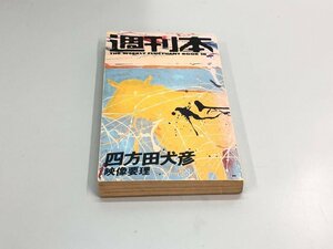 ★　【週刊本 10 四方田犬彦 映像要理 朝日出版社 1984年】180-02402