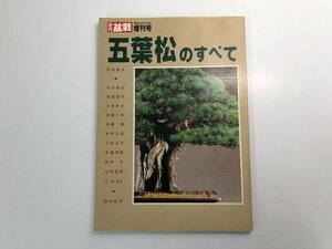 ★　【月刊 近代盆栽 増刊号 五葉松のすべて 1987年12月号】159-02402