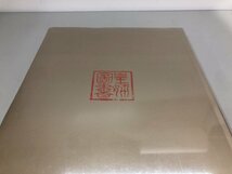 ▼　【未開封品 図録 台湾 中国語書籍 公主的雅集 蒙元皇室與書畫鑑藏文化特展 國立故宮博物院 20…】159-02402_画像3