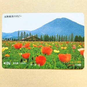 【未使用】 花オレンジカード 額面1000円 JR九州 生駒高原のポピー