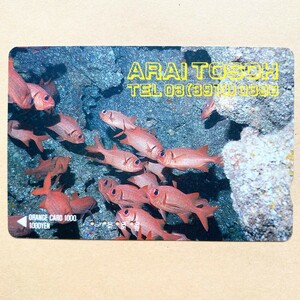 【使用済】 オレンジカード JR東日本 魚 魚群 ARAI TOSOH