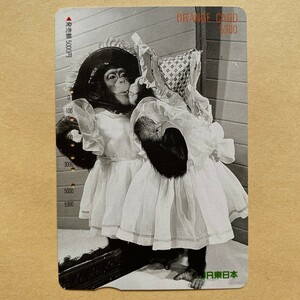 【使用済】 オレンジカード JR東日本 鏡にキスするチンパンジー 