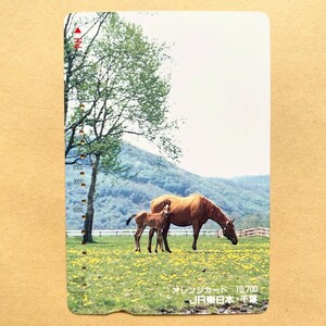 【使用済】 オレンジカード JR東日本 草を食む馬と子馬