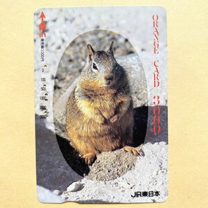 【使用済】 オレンジカード JR東日本 リス