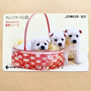 【使用済】 オレンジカード JR東日本 愛されるボクたち 動物シリーズ 子犬 