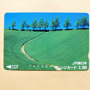 【使用済】 オレンジカード JR東日本 小道の先の木立