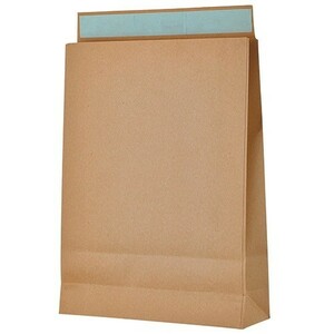 [ direct delivery ] home delivery sack large L size A3 correspondence tea ... tape attaching 100 sheets bottom approximately 320×100× height 430mm