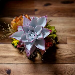 カンテ様の寄せ植え