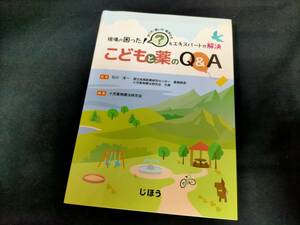 ★現場の困った! をエキスパートが解決 こどもと薬のQ&A ２０１７年版　Used