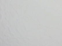 ■ 講談社 新社屋竣工 創業九十周年記念 平山郁夫画「暁春橘富士図」角皿 陶画 飾皿■_画像7
