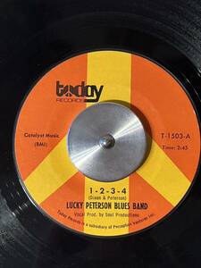 LUCKY PETERSON BLUES BAND / 1-2-3-4 (7')