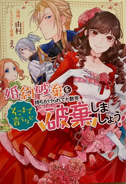 婚約破棄を持ちかけられて十数年、そこまで言うなら破棄しましょう！／由村