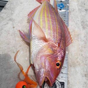 タングステン タイラバ タイラバヘッド 鯛ラバジグ 60g 3個セット (オレンジ2、ワインレッド1) 送料無料の画像7