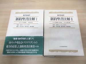 ▲01)【同梱不可】新共同訳 新約聖書注解 I・II 2冊セット/高橋虔/B.シュナイダー/日本基督教団出版局/1991年発行/1・2/キリスト教/A