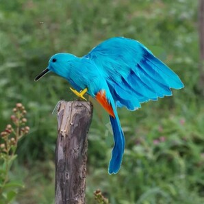 鳥の置物　青い鳥　カワセミ　羽毛　18cm　鳥の雑貨　HANAKO