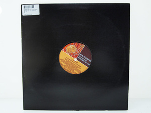 Black Coffee Featuring Tsepo / Never Saw You Coming 12inch レコード Seasons Limited 2011年 F