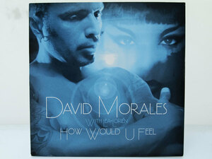 David Morales With Lea Lorien / How Would U Feel 12inch レコード DMI Records 2004年 F