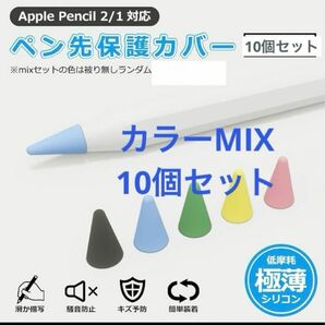 Apple Pencil 第1世代 第2世代 ペン先カバー 保護 キャップ アップルペンシル タッチペン シリコン 互換性