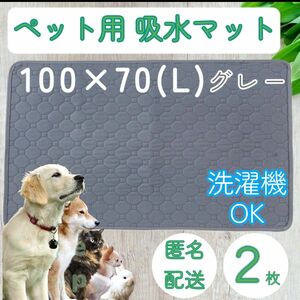 L２枚　グレー　洗える ペット　犬　吸水　マット トイレ　シート　シーツ　ソファー　ベット　椅子　犬　猫　ねこ　リビング　寝床