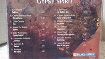 【フラメンコ・等】オムニバス■discover the music of Gypsy Spirit _画像2