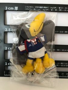 ワールドカップ日本代表　１９９６ＪＦＡ　カラッペぬいぐるみ マグネット　 マスコット キーチェーン