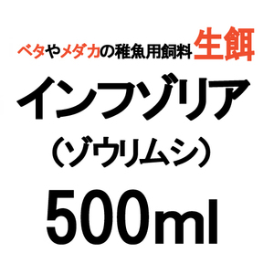 生餌 ゾウリムシ 500ml + 餌10錠 インフゾリア　ベタやメダカの稚魚に最適！ 送料無料　ネコポス便 着日指定不可