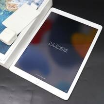 IT4THIX0SOIW 即決 本物 Apple アップル iPad pro アイパッド プロ 12.9インチ 第2世代 Wi-Fi 256GB MP6H2J/A シルバー 初期化済_画像1