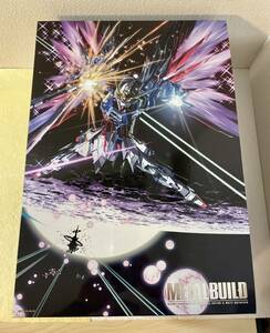 未開封　METAL BUILD デスティニーガンダム フルパッケージ 機動戦士ガンダム SEED メタルビルド 光の翼 フィギュア フリーダム 