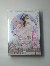 ■ 桜の通り抜け 　平野撫子　プルーフ貨幣セット 2009 平成21年　造幣局_画像1