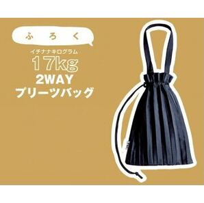 【nicola ニコラ 2022年2月号付録】17kg 2WAY プリーツバッグ（未開封品）