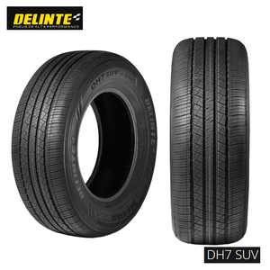 送料無料 デリンテ 夏 サマータイヤ DELINTE DH7SUV ディーエイチセブン エスユーブイ 225/65R17 102H 【2本セット 新品】