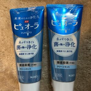 ピュオーラ　歯磨き粉　クリーンミント　2本　115g 薬用ハミガキ 歯周病予防に