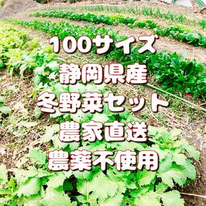 送料無料*静岡県産*冬野菜100サイズいっぱい*詰め合わせセット*農家直送産直