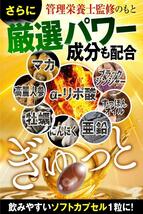 業界最強クラスの含有量 セサミンGOLD 1日1粒 30日分 黒セサミン マカ 亜鉛 α-リポ酸 牡蠣 にんにく 厳選素材 高濃度 セサミン 国内製造_画像5