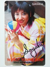 レアテレカ!! 未使用 テレカ 50度数×2枚 神田沙也加 SAYAKA 週刊ヤングジャンプ 23周年記念 ○P_画像4