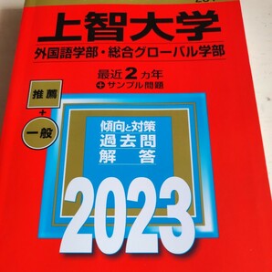 上智大学 (外国語学部総合グローバル学部) (2023年版大学入試シリーズ)